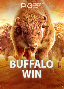 เว็บ เกม 99 กับประสบการณ์ทดลองเล่นที่ไม่เหมือนใคร